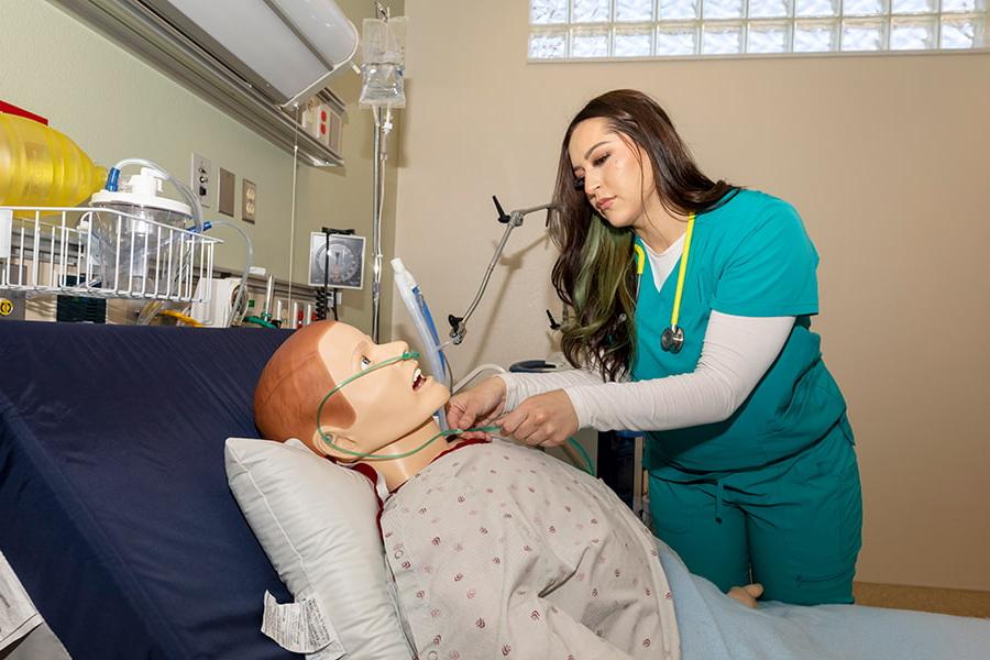 An SJC Physical Therapist Assistant student studying in the 模拟中心